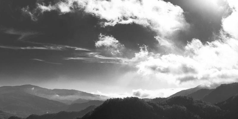 解惑Elasticsearch：专业人士的深度解析